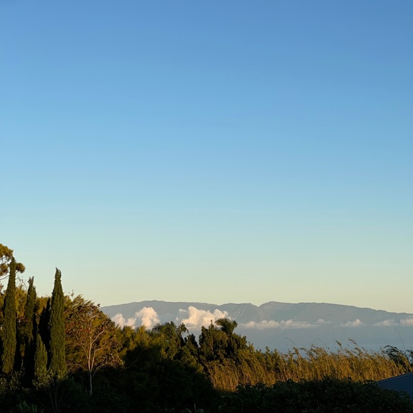 Meet your Posher, Johnna-lee - Picture 5 of 5